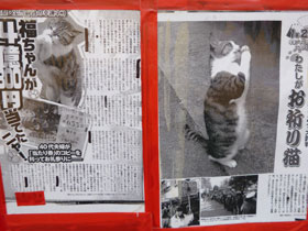 ポスターに掛かれた雑誌やテレビでお願いポーズの猫ちゃんがかなり有名