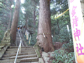 参道の階段のはるか上に金持神社が見えます